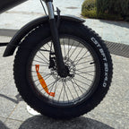 Electric Mountain Bike Fat Bike 20” – E-Bike Todo Terreno 48V, 25 km/h, 100 km Autonomía