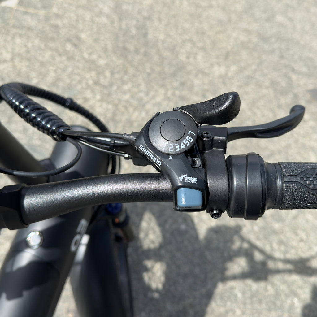 Electric Mountain Bike Fat Bike 20” – E-Bike Todo Terreno 48V, 25 km/h, 100 km Autonomía