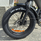 Electric Mountain Bike Fat Bike 20” – E-Bike Todo Terreno 48V, 25 km/h, 100 km Autonomía